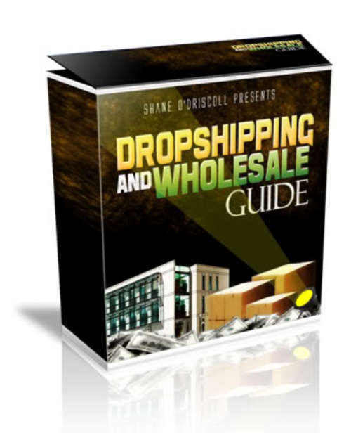 Product picture The Dropshipping & Wholesale Guide